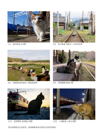ネコは鉄道が好き？線路際や駅前に佇むネコと1年を過ごせる イカロス